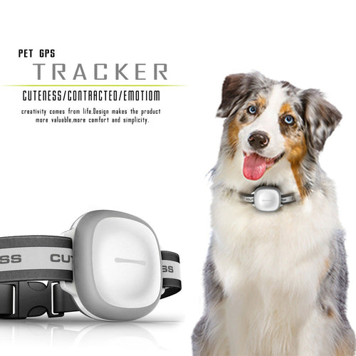 Smart Mini Dog Locator